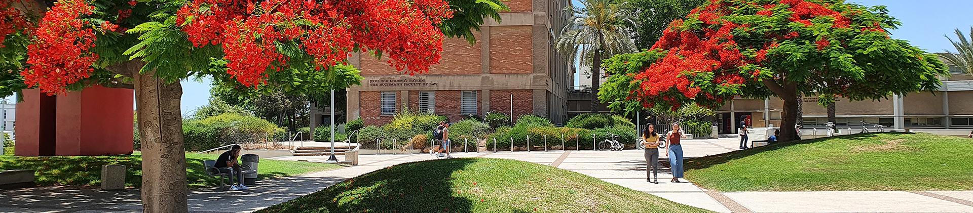 משרות פנויות באוניברסיטת תל אביב