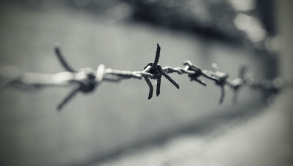 יום הזיכרון לשואה ולגבורה: שלושה אחים ומערה