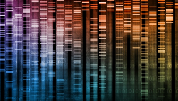 כנס: "לקראת פרדיגמה חדשה במדע, במתמטיקה ובתודעה" כנס: "לקראת פרדיגמה חדשה במדע, במתמטיקה ובתודעה"