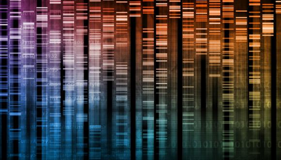 כנס מחזורים פתוח של בוגרי הפקולטה להנדסה כנס מחזורים פתוח של בוגרי הפקולטה להנדסה