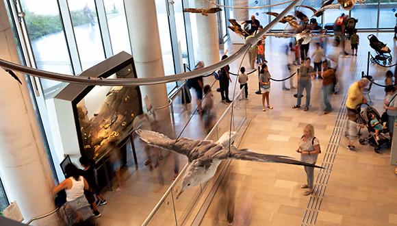 ימי שני במוזיאון הטבע: הרצאות במגוון נושאים מעולם הטבע