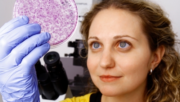 Best Practices לקידום נשים באקדמיה