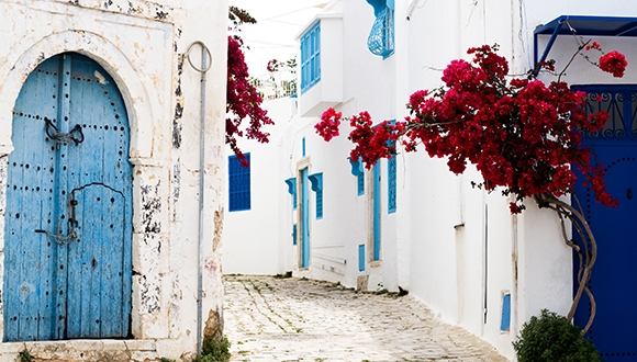 ערב עיון: התרבות הערבית-יהודית בתוניסיה