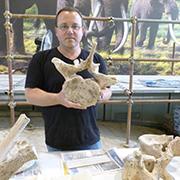 פרופ' רן ברקאי מחזיק חוליה של פיל קדום באתר לה פולדררה, איטליה